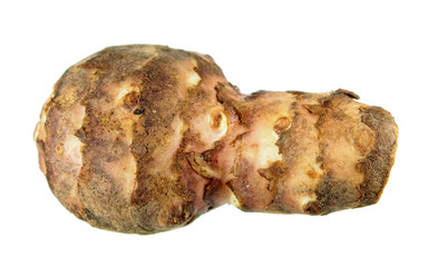 Sunroot or Jerusalem artichoke (Helianthus tuberosus) tuber isolated white background