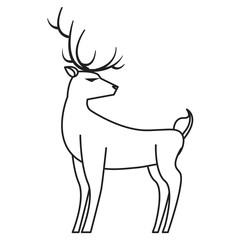 reindeer animal on white background