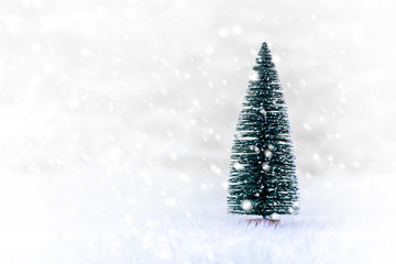 Christmas tree in red gift box on snow 