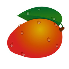 Yellow-red tropical mango fruit with green leaf and drops .