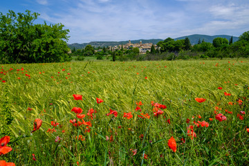 Obraz premium Vue panoramique sur le village de Lourmarin en Provence, France. Champ de blé avec des coquelicots au premier plan.