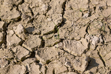 Dry cracked ground