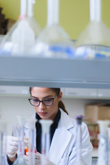 Fototapeta premium Chemistry and medicine students working in a laboratory. Young female researchers doing lab tests.
