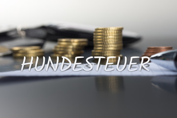Hundesteuer
