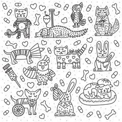 Set of pet for veterinary clinic. Cat, dog, bird, rabbit with different problems. Vector doodle illustration. Isolated on white background.