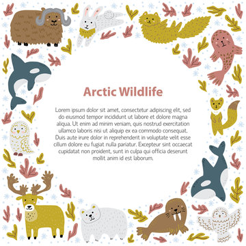 Cute frame template with arctic animals. Childish hand-drawn characters. Vector illustration.