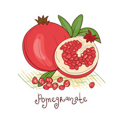 Pomegranate. Fruit. Sketch, doodle