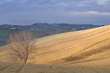 rural landscape with wheat field,agriculture,field, sky, nature,countryside, clouds, country,cloud, autumn, land, 