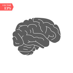 Brain or mind side view line art color vector icon for medical apps and websites