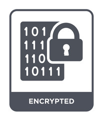 encrypted icon vector