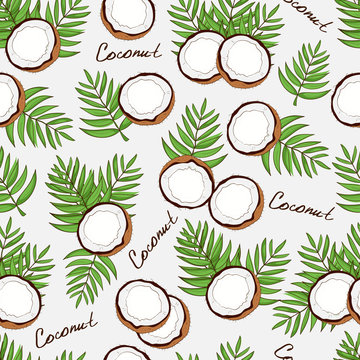 Coconut. Background, wallpaper, seamless. Sketch