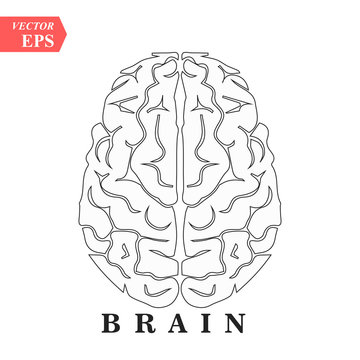 Brain, mind or intelligence line art icon for apps and websites