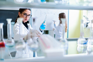 Fototapeta premium Chemistry and medicine students working in a laboratory. Young female researchers doing lab tests.