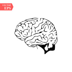 Head with brain vector icon EPS10. Simple isolated silhouette symbol.