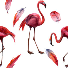 Obraz premium Watercolor flamingo pattern. Hand Drawn bird. Print for textile, cloth, wallpaper, scrapbooking