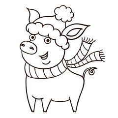 Cute black and white piggy on white background. New year symbol