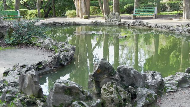 Small pond in the old park