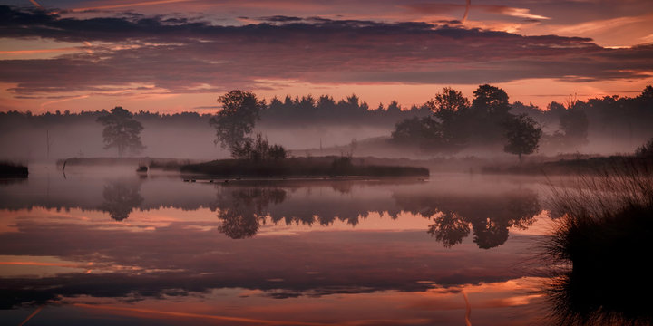 Trees on small island reflecting in the water of a fen in a serene colorful red morning light just before sunrise above nature reserve Hatertse Vennen, Nijmegen, The Netherlands
