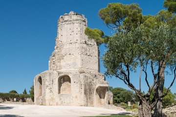 Fototapeta na wymiar Tour Magne in Nîmes in Südfrankreich
