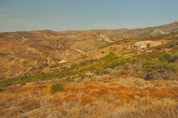 Fototapeta na wymiar Akamas Peninsula, Cyprus - typical landscape
