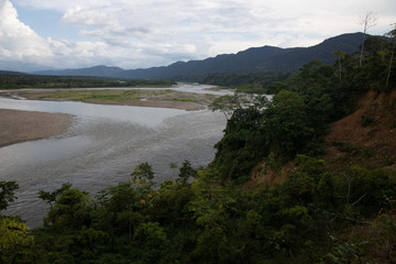 Fototapeta na wymiar Amazon river