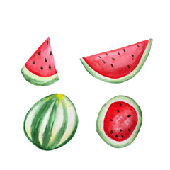 Watermelon hand drawn watermelon