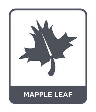 Mapple Leaf Icon Vector