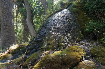 Cascada