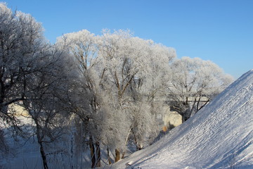 Beautiful icy trees near snowy hill on blue sky background on sunny day - winter lanscape