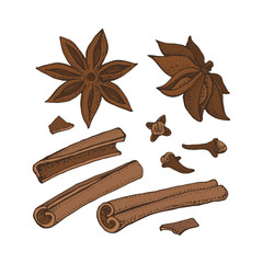 Cinnamon sticks, anise star and cloves. Vector drawing of aromatic spices set. Seasonal food illustration isolated on white. Doodle of spice and flavor. Cooking and mulled wine ingredient