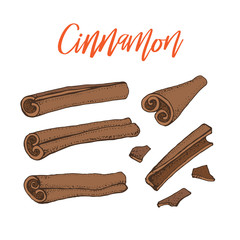 Cinnamon sticks. Vector drawing of aromatic spices set. Seasonal food illustration isolated on white. Hand drawn doodles of spice and flavor. Cooking and mulled wine ingredient