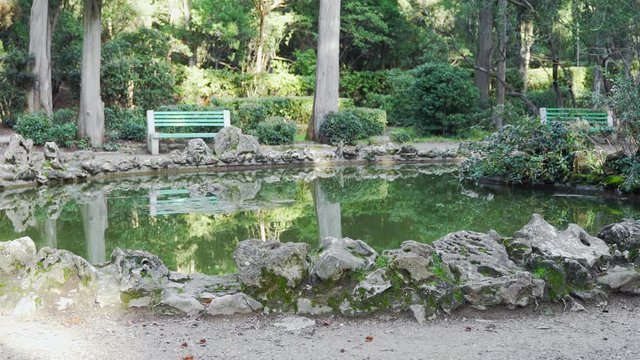 Small pond in the old park
