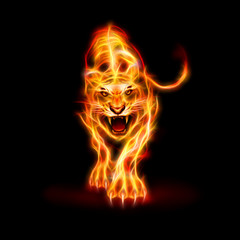 Fire Tiger