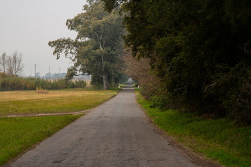 Country Road