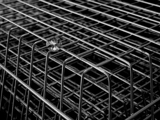 A Single Diamond, Showing the Facet Cut of the Gem Stone, Laid on a Stainless Steel Grid of Mesh.