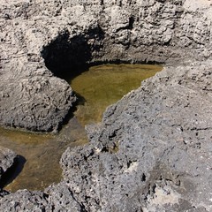 Porous structure of a volcanic stone, cut by sea water. Gozo Island, Malta.