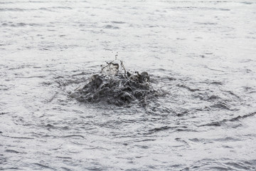 Geothermic activity in mud pools of Hverir, Iceland