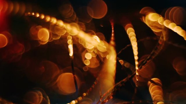 Abstract blurred Christmas lights bokeh background