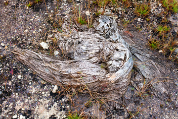 Muddy textured cloth on the ground