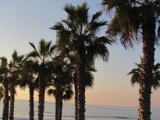 Obraz premium sunset on the beach