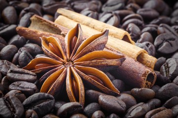 spices; star anise, cinnamon on the background of coffee beans