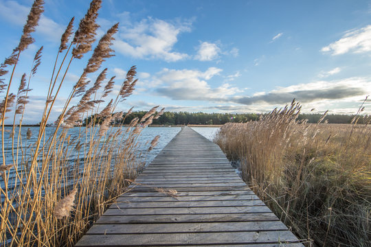 Holzsteg am meer