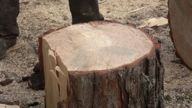 the man breaks the big log