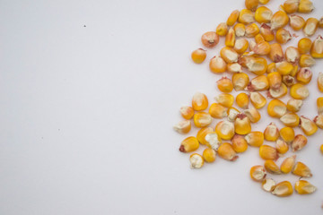 Spilled corn on a gray background