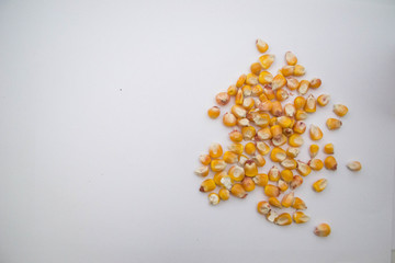A pile of corn on a gray background