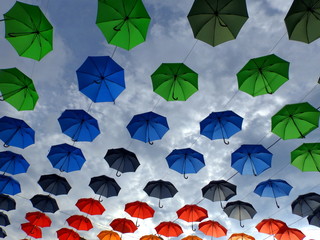 Umbrella