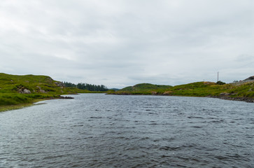 Shannon Ireland 