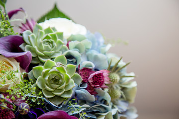 The wedding of Suzanne & Oliver at Elsham Hall in Brigg