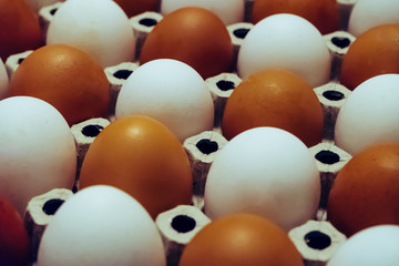 White and brown chicken eggs