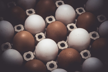 White and brown chicken eggs